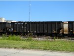 NS 147096 is new to RRPA!